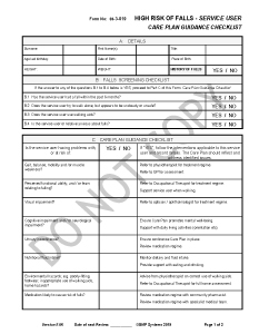 Dom Care - Forms 3-019 - Falls Care Plan Pg 1 of 2